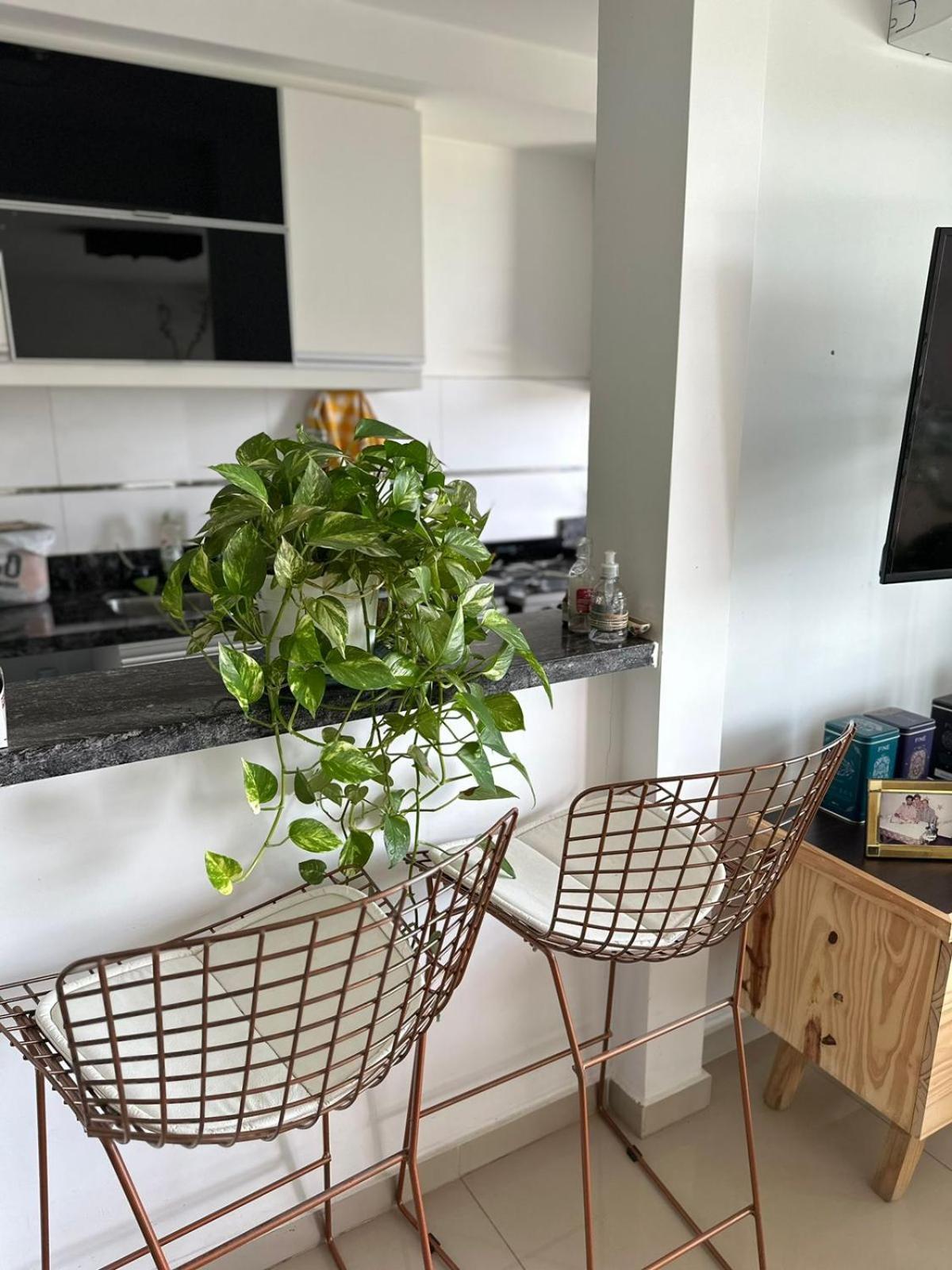 Departamento Amoblado De Lujo Apartamento